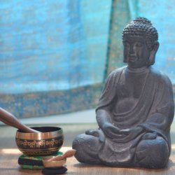 6 Week-1 Hour Private Yoga Session
