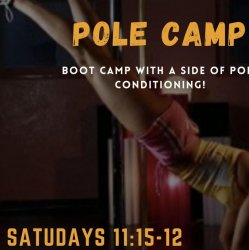 Bar Boot Camp Single Session Ft. Worth Only
