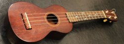 It's a Ukulele Class! Fall 2021
