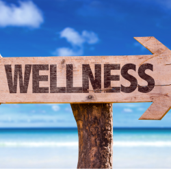 Wellness Immersion - 13 classes in 30 days