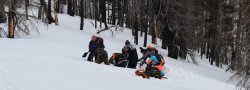 DRIVEN SCHOOL ~ All Inclusive ~ 3 Day School with AIARE Rescue Course