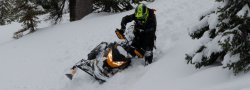 DRIVEN SCHOOL ~ All Inclusive ~ Bonus Riding Day