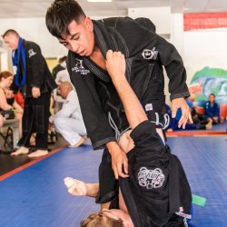 BJJ 1(x)