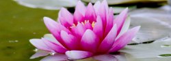 Meditation Challenge
