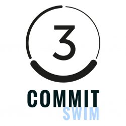 Do3 CommitSWIM