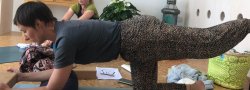 Yoga for Cancer Teacher Training