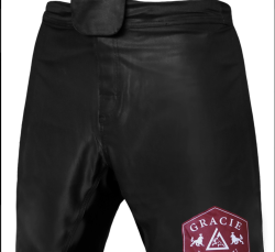 Lion Fight Shorts (Men)