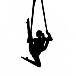 90 Days of Yoga and Aerial $425