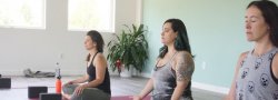 Meditation Workshop: Silence, Stillness & Wholeness