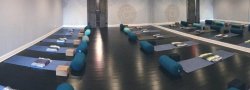 Introduction to the Niyamas Workshop
