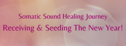 Somatic Sound Healing Journey