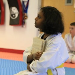 TKD Membership (2 classes/week)