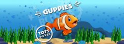 Tots - Guppies - 10 weeks