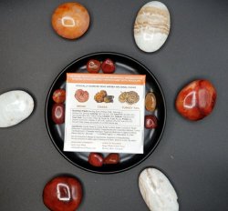 Addictive Wellness "Immune Defense" Raw Chocolate Bar