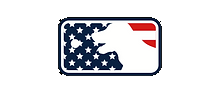 Home Plate Baseball