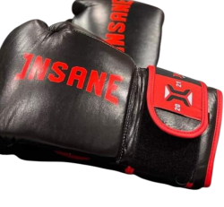 Insane Boxing Gloves
