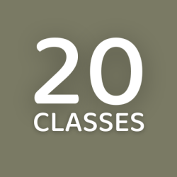 Steadyship 20