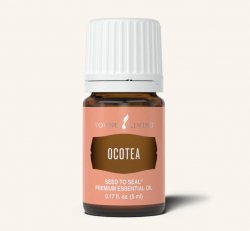 Ocotea Essential Oil