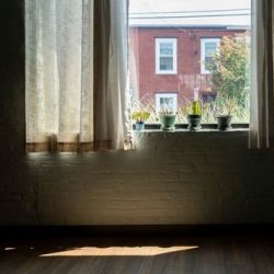 $15 Sliding Scale